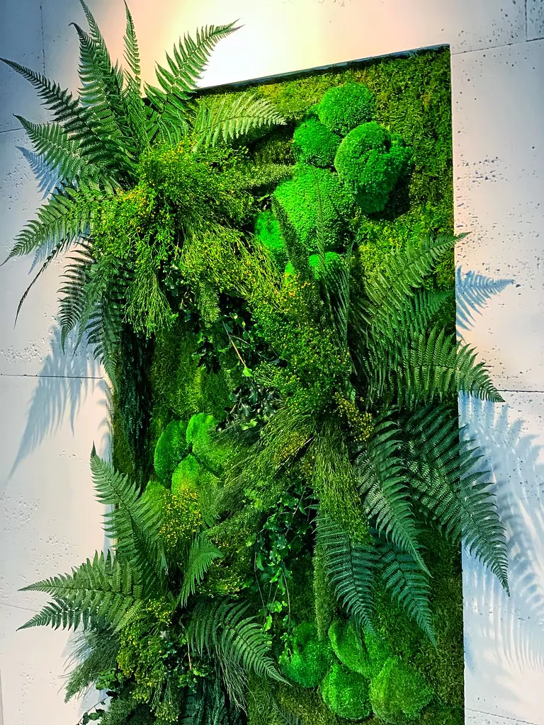 Forestmoos